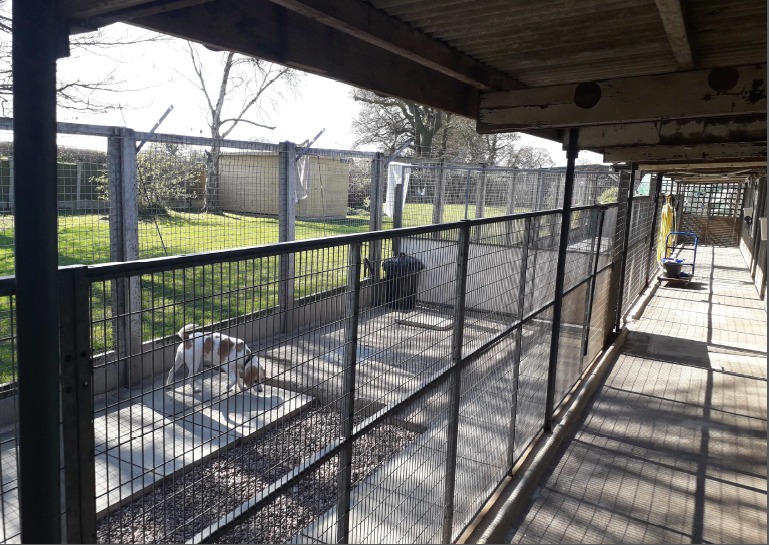 New state of the art kennels could be introduced at Ewloe