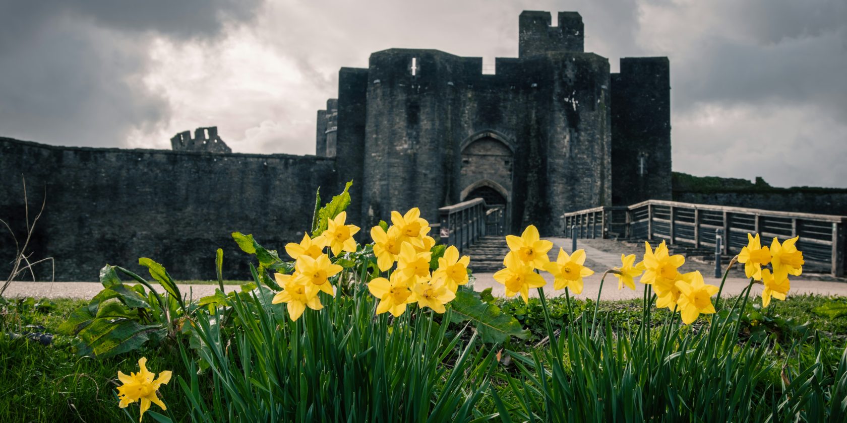Latest North Wales breaking news, sport, what's on and business news