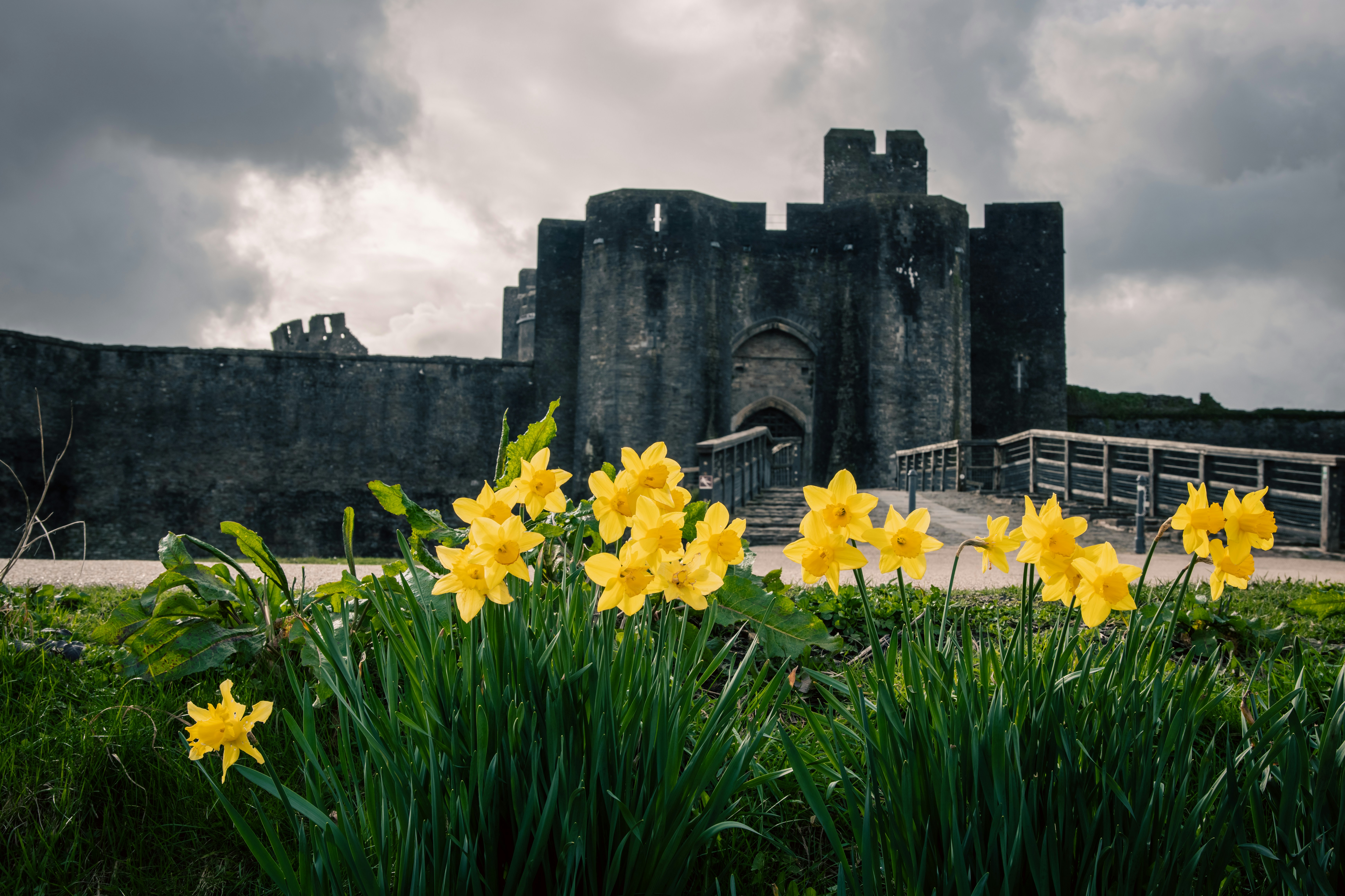 Photo by Erik Cooper on Unsplash