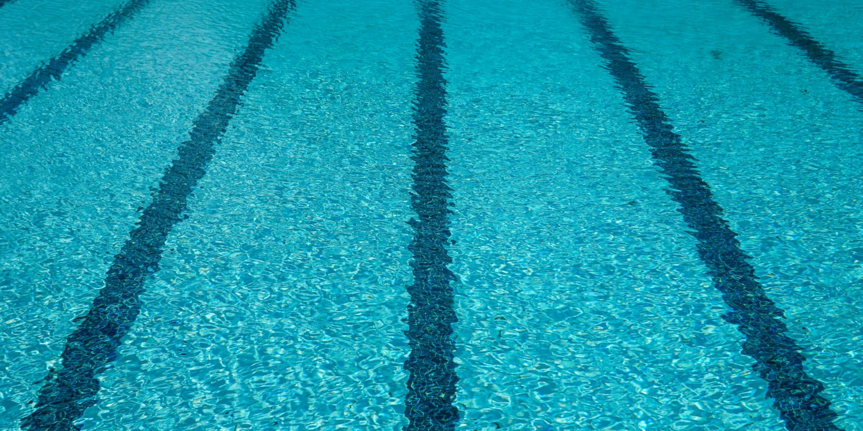 Latest North Wales breaking news, sport, what's on and business news